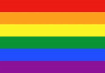 Diskriminering och kränkande behandling: 7. Sexuell läggning Heterosexualitet: : Att någon blir kär i eller tycker om någon av motsatt kön.