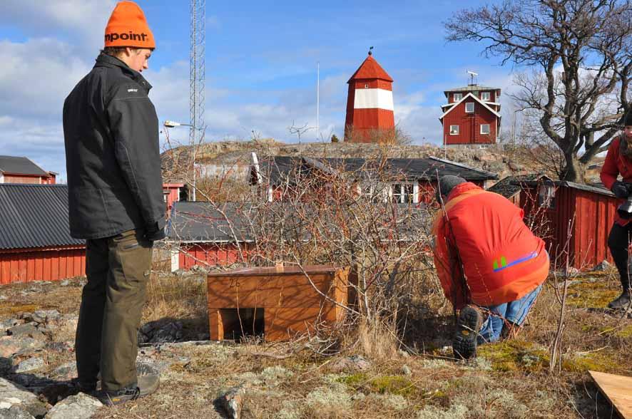 Foto: Peter Karlsson, Bildbeviset Inom Fågelföreningen Tärnan (med FSO som huvudman) bildades under hösten 2015 en arbetsgrupp som tog kontakt med andra intressenter och berörda.