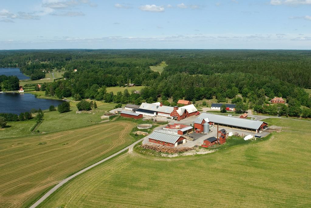 Utdrag ur årsredovisning