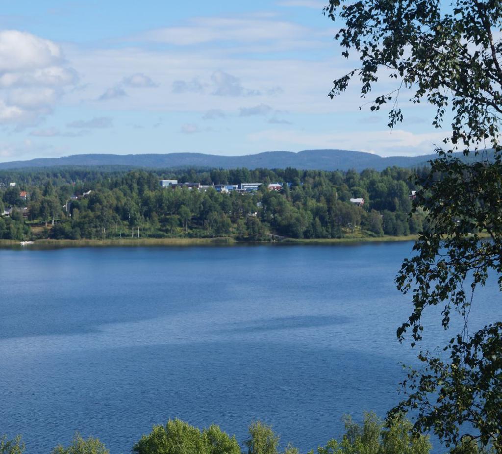 Södra entrén Sträckan är en entré till Kramfors stad, och har i dag höga godsflöden. Det innebär en tung och intensiv trafik som begränsar trafiksäkerheten för gång- och cykeltrafik.