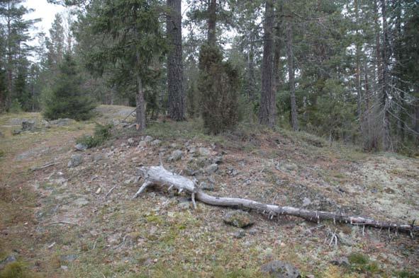 meter öster om Raä 62:1. Fotad från öst.