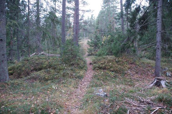 11 Figur 8. Den husgrundsliknade anläggningen Raä 62:2. Fotad från öst. Figur 9.