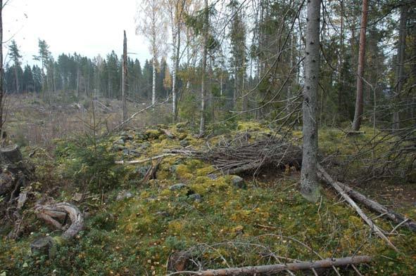 12 Figur 10. Långröset Raä 62. Fotad från öst.