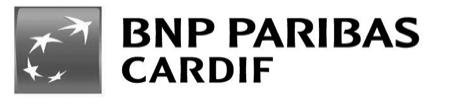 q EU-kommissionen offentliggjorde först den 21 september de två delegerade förordningarna med mer detaljerade föreskrifter (IBIP och POG).