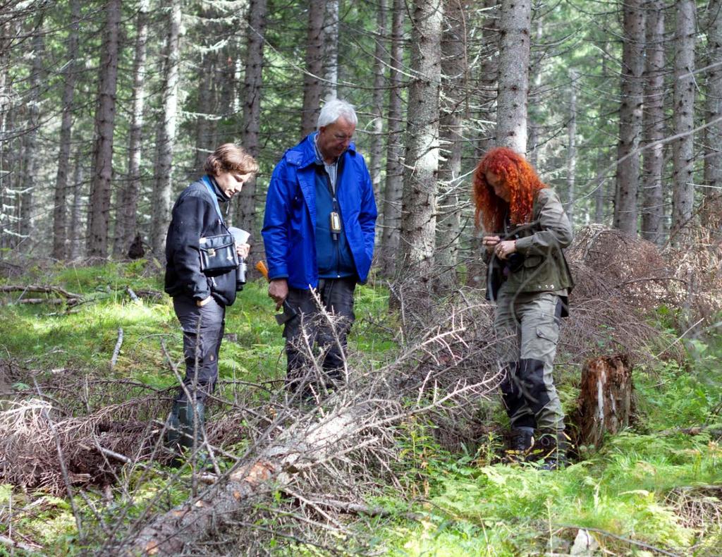 Nationell Riktad Skadeinventering (NRS) 2013 Sören Wulff Foto:
