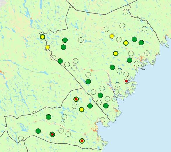 lagliga gränsen på 3 m 3 /ha som gäller för det utlysta bekämpningsområdet. De råa vindfällena utgör 7 % av det totala antalet påträffade vindfällen.