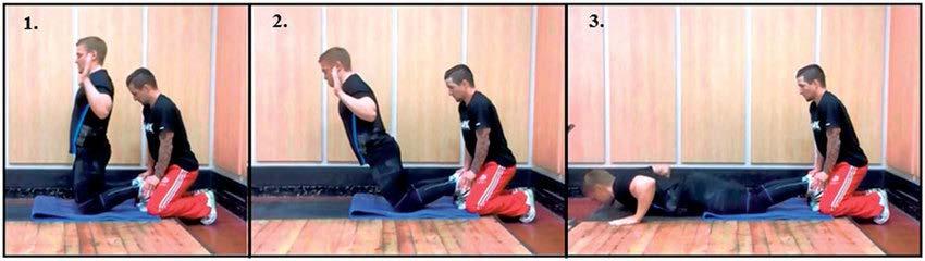 Bilaga 5 Nordic Hamstrings exercise (NHE) som utfördes i Schache (2012). Bild 1: Startpositionen Bild 2: Sänk dig sakta mot golvet, spänn baksida lår och rumpa.