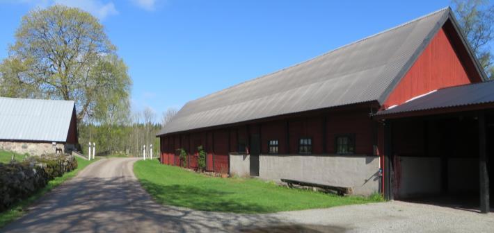 Grusvägen följer den gamla vägsträckningen och förstärks med