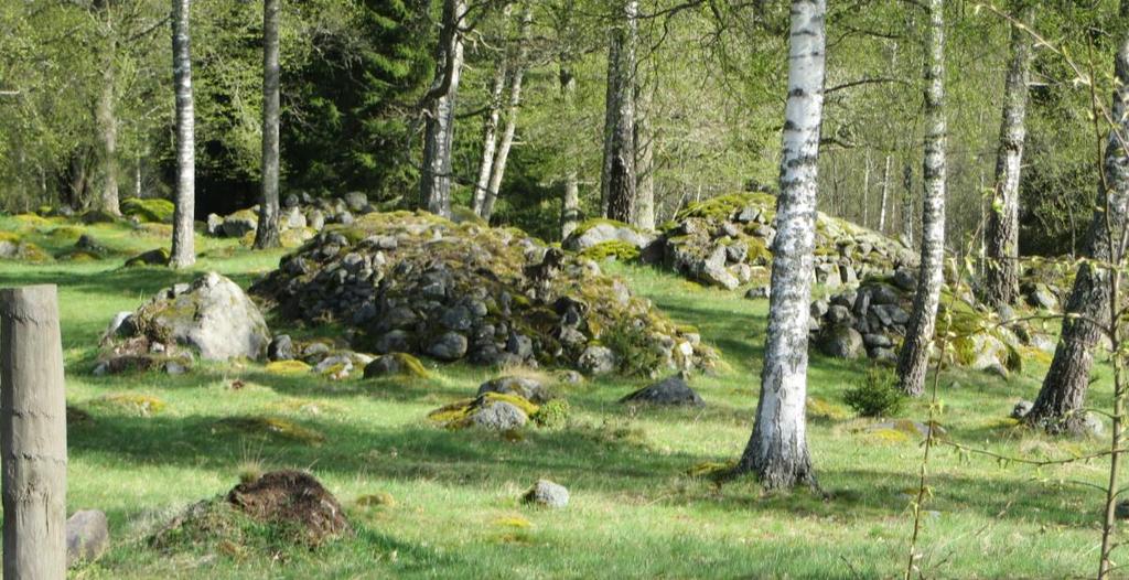 Odlingslandskap med odlingsrösen på gamla åkrar vid