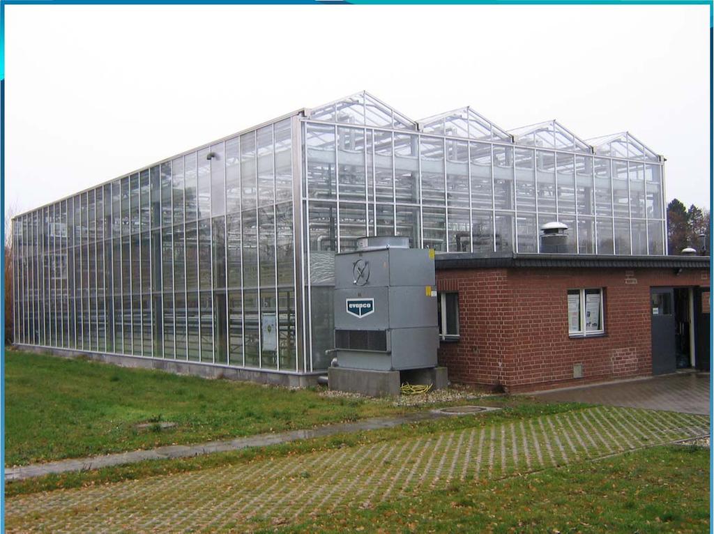 Tyskland: Försöksväxthus finns på fyra olika platser http://www.zineg.de ZINEG.