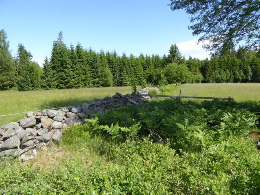 Naturvårdsarter: - Area (ha)/bredd: Gränsöverskridande objekt: - 148 (Stenmur vid Huvdaby) 4 - Visst naturvärde Berg och sten Stenmur Visst biotopvärde, visst artvärde (se nedan) 0,07 ha