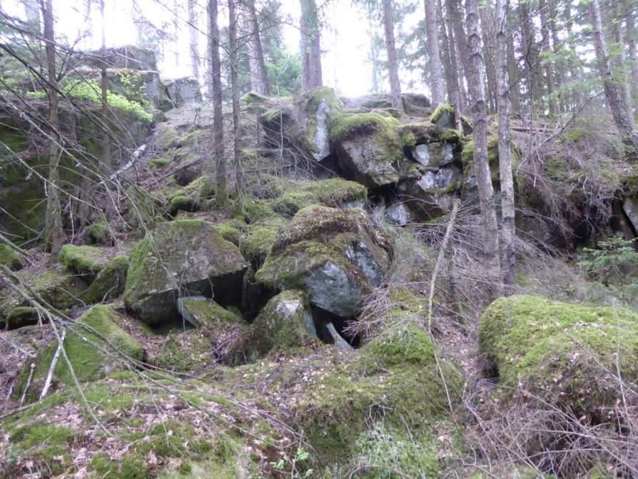 Naturvårdsarter: Area (ha)/bredd: Gränsöverskridande objekt: - 160 (Ravin S om Svedjorna) Berg och sten Ravin Ja Visst biotopvärde, obetydligt artvärde 0,05 ha Inventeringsdatum: 2016-05-19 Liten,