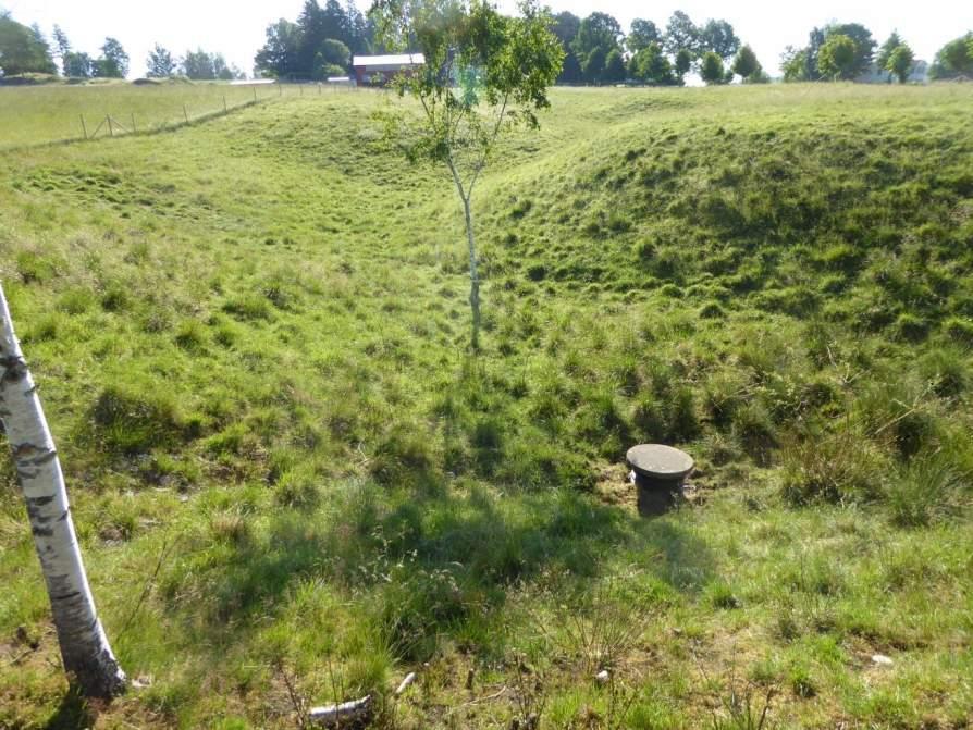 Naturvårdsarter: - Area (ha)/bredd: Gränsöverskridande objekt: 166 (Betesmark vid Assarsgården) Äng och betesmark Betesmark Visst biotopvärde, obetydligt artvärde 0,7 ha Objektet är beläget söder om