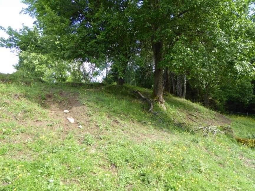 Naturvårdsarter: Area (ha)/bredd: Gränsöverskridande objekt: - 171 (Betesmark vid Ängdalen) Äng och betesmark Betesmark Ja Visst biotopvärde, visst artvärde (se nedan) 0,4 ha Inventeringsdatum: