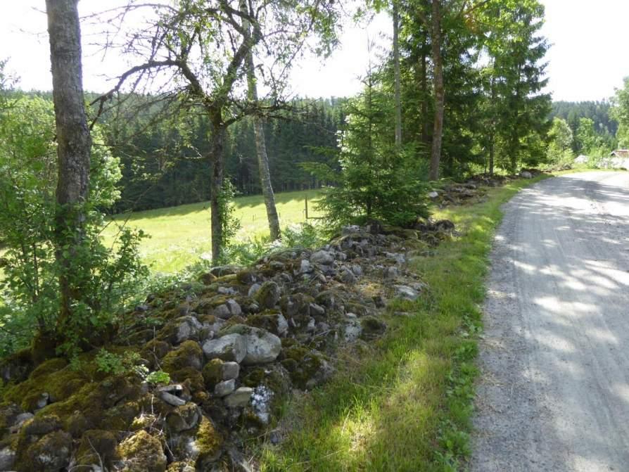 Naturvårdsarter: - Area (ha)/bredd: Gränsöverskridande objekt: 173 (Stenmur vid Dalhem) Berg och sten Stenmur Visst biotopvärde, obetydligt artvärde 0,06 ha Inventeringsdatum: 2016-06-22 Objektet är