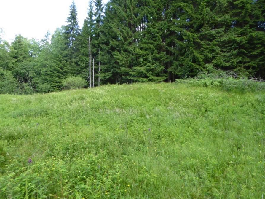 Naturvårdsarter: Area (ha)/bredd: Gränsöverskridande objekt: - 174 (Betesmark vid Ängdalen) Äng och betesmark Betesmark Ja Visst biotopvärde, visst artvärde (se nedan) 0,3 ha Inventeringsdatum: