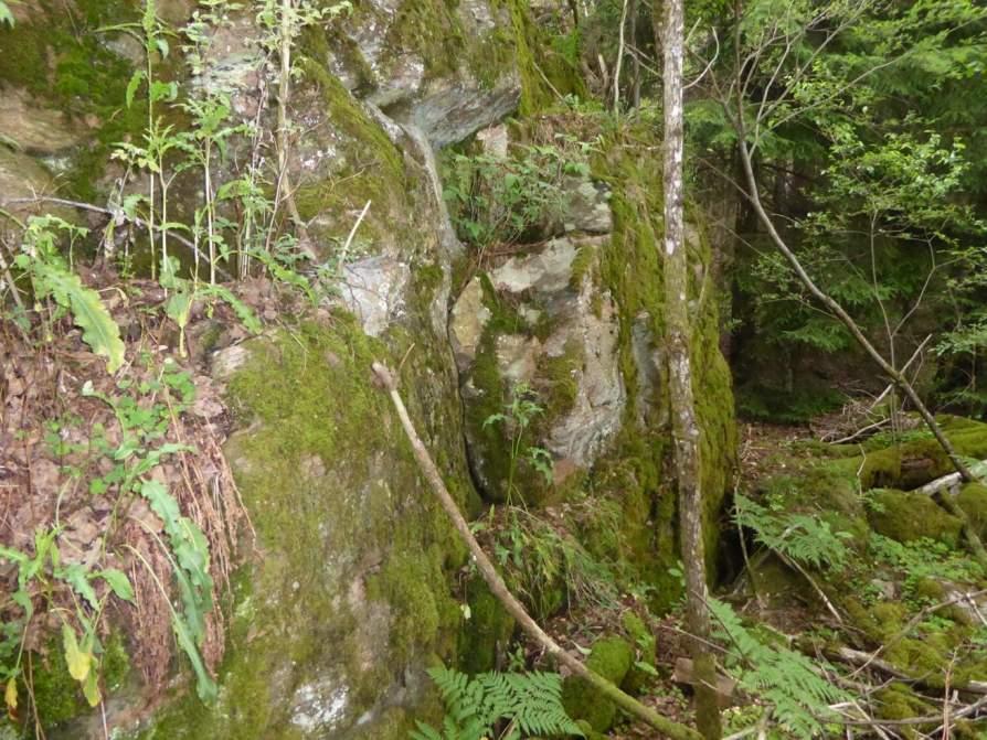 Naturvårdsarter: - Area (ha)/bredd: Gränsöverskridande objekt: 175 (Bergbrant vid Bråtared) Berg och sten Silikatbergbrant Visst biotopvärde, obetydligt artvärde 0,06 ha Objektet fortsätter i söder