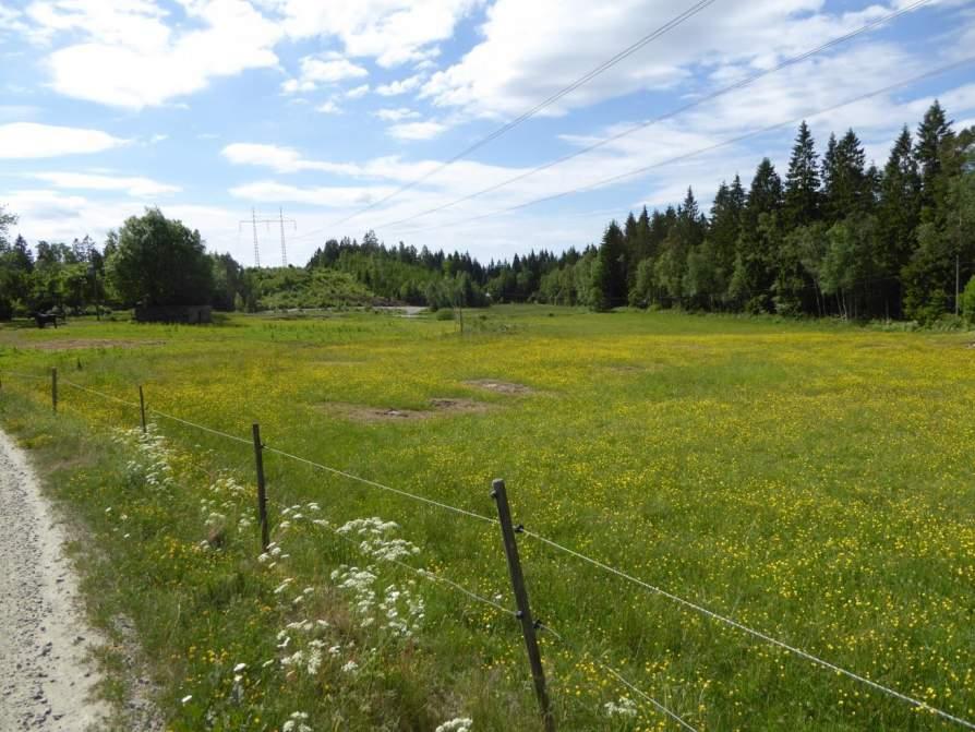Naturvårdsarter: Area (ha)/bredd: Gränsöverskridande objekt: 151 (Betesmark vid Brännorna) Äng och betesmark Betesmark Ja Visst biotopvärde, obetydligt artvärde 0,9 ha Objektet är beläget söder om