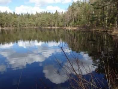 naturligt dystrof/oligotrof sjö. Sjön har klart vatten med sparsam växtlighet. I sjöns absoluta strandzon finns rikligt med vitmossa, som bildar överhäng och i viss mån gungfly.