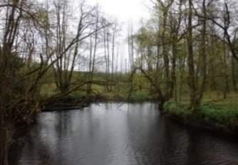 208 (Nolån) 2 Högt naturvärde Vattendrag Lugnflytande med måttlig förekomst av vattenvegetation.