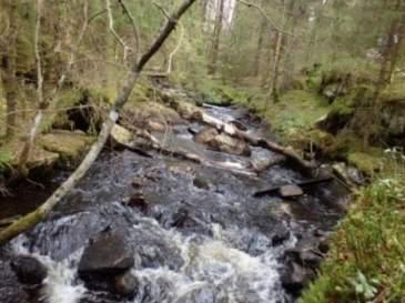 Naturvårdsarter Medelbredd (m): 4 Gränsöverskridande objekt: 209 (Rammsjöbäcken) 3 Påtagligt naturvärde Vattendrag Inventeringsdatum: 2015-05-11 Tidigare inventeringar: Strömmande med sparsam