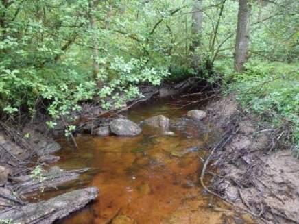 Natura 2000-naturtyp: Naturvårdsarter Medelbredd (m): 2 Gränsöverskridande objekt: 210 (Grandalsbäcken) 2 Högt naturvärde Vattendrag Inventeringsdatum: 2015-05-11 Strömmande med sparsam förekomst av