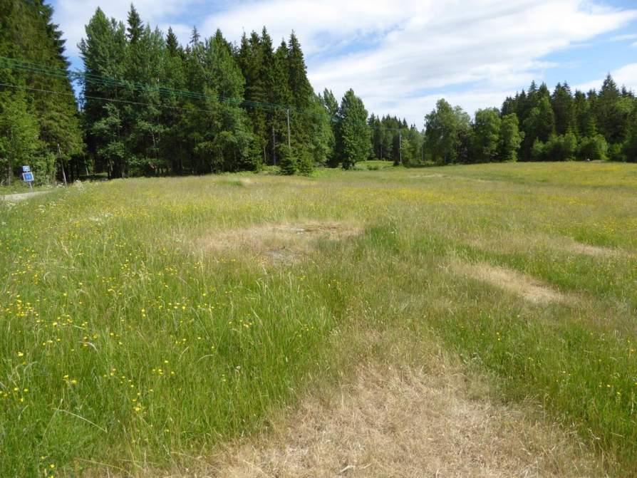 Naturvårdsarter: - Area (ha)/bredd: Gränsöverskridande objekt: 152 (Betesmark vid Fridhem) Äng och betesmark Betesmark Visst biotopvärde, obetydligt artvärde 1,2 ha Objektet är beläget söder om