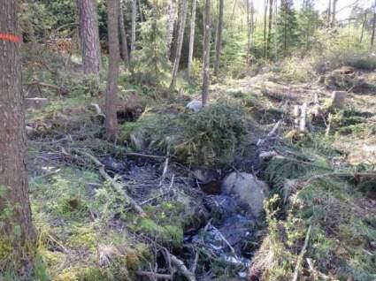 Naturvårdsarter - Medelbredd (m): 1 Gränsöverskridande objekt: 213 (Vattendrag vid Långenäs) Vattendrag Strömmande med sparsam förekomst av vattenvegetation Visst biotopvärde, obetydligt artvärde