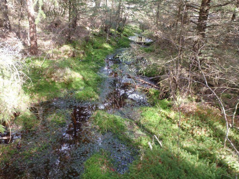 Naturvårdsarter - Medelbredd (m): 0,5 Gränsöverskridande objekt: - 217 (Vattendrag sydöst om Stora dämmet) Vattendrag Lugnflytande med riklig förekomst av vattenvegetation Visst biotopvärde,