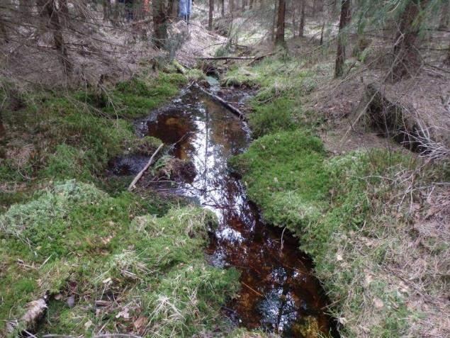 Naturvårdsarter - Medelbredd (m): 1 Gränsöverskridande objekt: - 221 (Inlopp i Östra Paradistjärn) Vattendrag Inventeringsdatum: 2015-04-23 Lugnflytande med riklig förekomst av vattenvegetation Visst