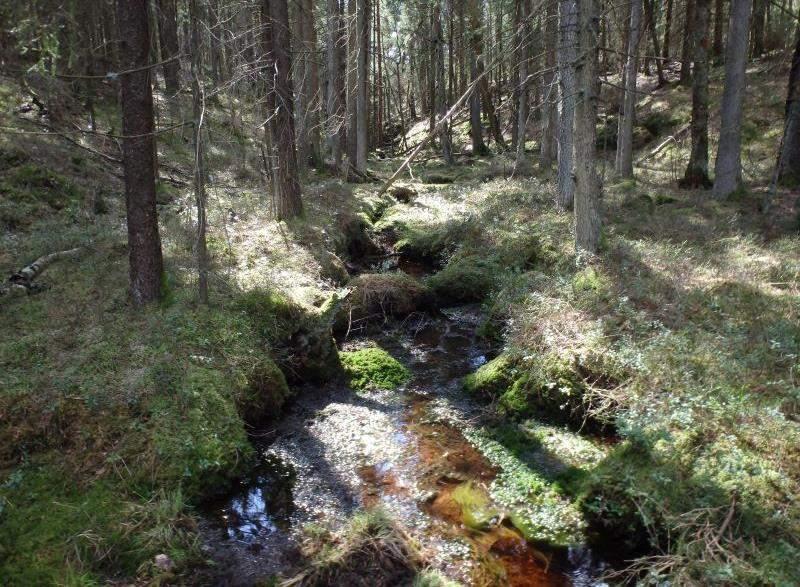 Naturvårdsarter - Medelbredd (m): 0,5 Gränsöverskridande objekt: - 224 (Vattendrag öster om Vrångetjärn) Vattendrag Inventeringsdatum: 2015-04-27 Tidigare inventeringar: Lugnflytande med riklig
