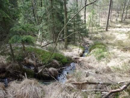 Naturvårdsarter - Medelbredd (m): 0,5 Gränsöverskridande objekt: - 228 (Vattendrag öster om Abborrtjärn) Vattendrag Strömmande med måttlig förekomst av vattenvegetation Visst biotopvärde, obetydligt