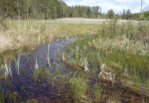 Natura 2000-naturtyp: Naturvårdsarter Medelbredd (m): 3 Gränsöverskridande objekt: 237 (Vattendrag NV om Landvetter flygplats, biflöde till Björrödsbäcken) 2 Högt naturvärde Vattendrag Strömmande med