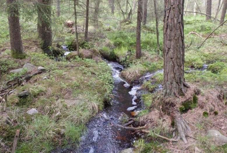 Naturvårdsarter - Medelbredd (m): 0,6 Gränsöverskridande objekt: - 238 (Vattendrag NV om Landvetter) Vattendrag Strömmande med måttlig förekomst av vattenvegetation Visst biotopvärde, obetydligt