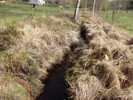 Naturvårdsarter Medelbredd (m): 0,7 Gränsöverskridande objekt: - 243 (Vattendrag väster om Ryamotet) Vattendrag Strömmande med sparsam förekomst av vattenvegetation Ja Visst biotopvärde, obetydligt
