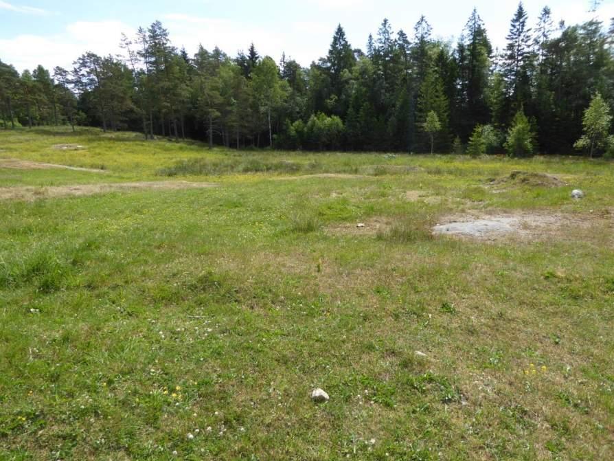 Naturvårdsarter: - Area (ha)/bredd: Gränsöverskridande objekt: 154 (Betesmark vid Brännorna) Äng och betesmark Betesmark Visst biotopvärde, obetydligt artvärde 0,5 ha Objektet är beläget söder om