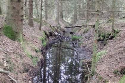 Naturvårdsarter - Medelbredd (m): 0,75 Gränsöverskridande objekt: 248 (Vattendrag öster om Rostjärn) Vattendrag Lugnflytande med måttlig förekomst av vattenvegetation Visst biotopvärde, obetydligt