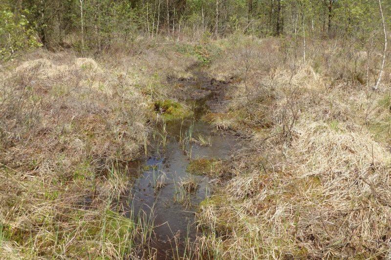 Naturvårdsarter Area (m 2 ): 42 Gränsöverskridande objekt: - 250 (Småvatten norr om Tulltjärnen) Småvatten Mindre vattensamling Ja Visst biotopvärde, obetydligt artvärde Inventeringsdatum: 2015-04-21