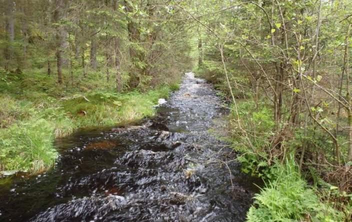 Naturvårdsarter Medelbredd (m): 2 Gränsöverskridande objekt: 252 (Huvdaby bäck) 3 Påtagligt naturvärde Vattendrag Strömmande med måttlig förekomst av vattenvegetation Ja Påtagligt biotopvärde, visst