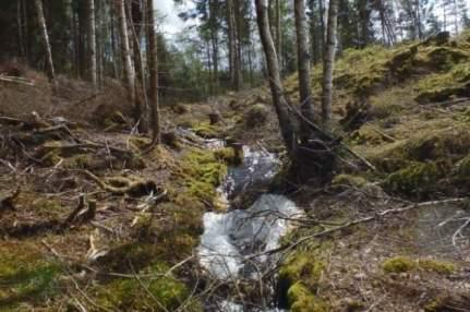 Naturvårdsarter Medelbredd (m): 0,6 Gränsöverskridande objekt: 254 (Vattendrag vid Kärretvägen) 3 Påtagligt naturvärde Vattendrag Inventeringsdatum: 2015-06-01 Strömmande med sparsam förekomst av