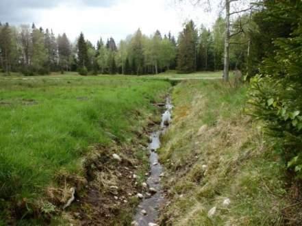 Naturvårdsarter - Medelbredd (m): 0,5 Gränsöverskridande objekt: - 256 (Vattendrag söder om Ulvåsen) Vattendrag Inventeringsdatum: 2015-05-20 Strömmande med måttlig förekomst av vattenvegetation