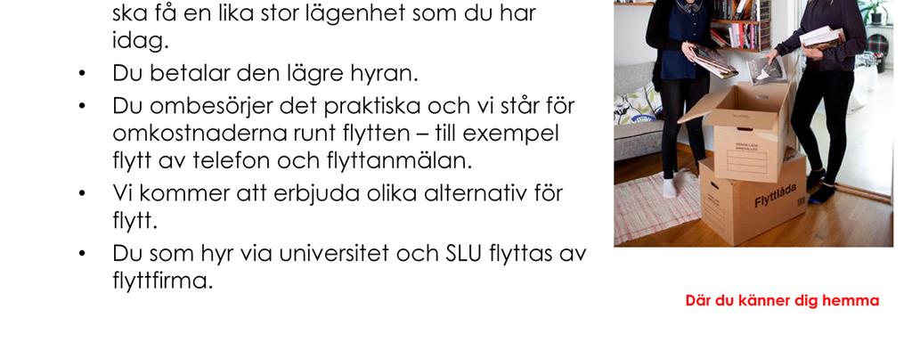 Du som hyr direkt via oss och inte via Umeå universitet eller SLU kommer att erbjudas flera olika alternativ för flytt.