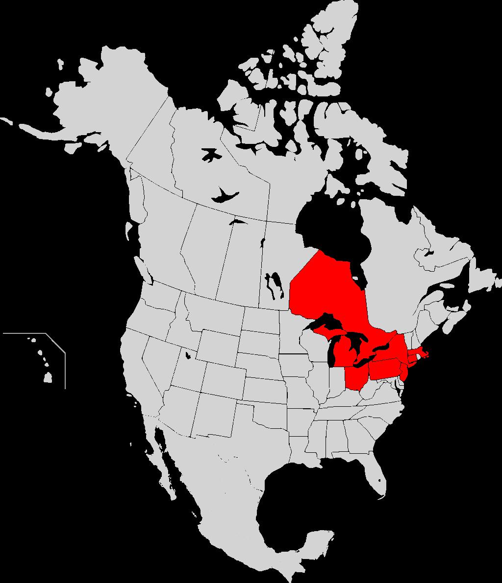Exempel på en gränsöverskridande kris Strömavbrottet nordöstra USA 2003 The North American Power Grid Is One Large, Interconnected Machine * Påverkade ungefär 50 miljoner människor Ohio, Michigan,