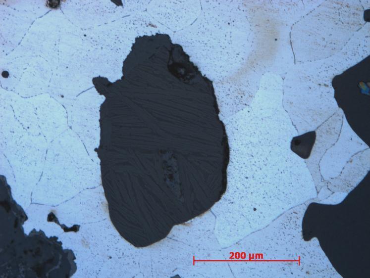 Figur 29. Detaljfoto från mikroskopet på järnprovet från A2493, etsat prov. Centralt finns en slagginneslutning bestående av olivin (ljust grå) och glas (mörkare grå).