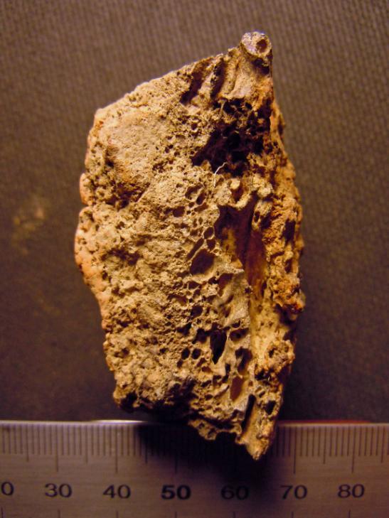 liknande sandkorn nära insidan, men även enstaka hålrum i den lägre brända delen av fragmentet.