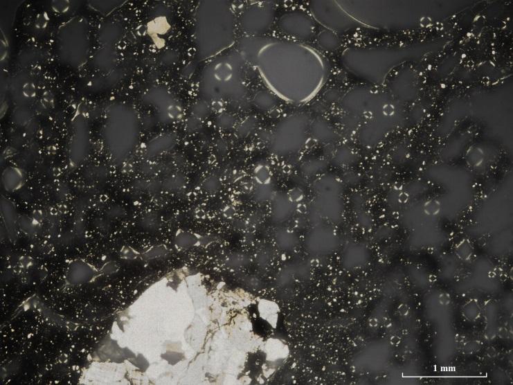 Mikroskopering TS1 Lera Grovlek F Sortering S Silt ++ Finsand - Sand -- Kalkhalt Glimmer? Järnoxid + Acc.