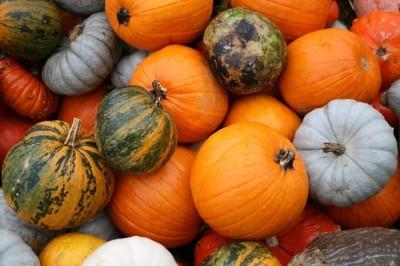 Eller kanske varför inte bara njuta av sången och musiken.välkomna! Oktober, November, December 2018 Alla är välkomna, öppet måndag till torsdag klockan 9.30-16.00, fredag klockan 9.30-15.