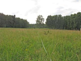 Senecio viscousus 3 stormåra Galium album 2 pipdån Galeopsis tetrahit 2 vanlig pilört Polygonum lapathifolia 2 revsmörblomma Ranunculus repens kråkvicker Vicia cracca skogssallat Mycelis muralis