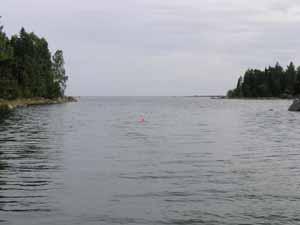 Viken N Österhamn Omgivningsdata Viken N Österhamn (N 61,0353, E 17,1648) återfinns på södra delen av ön Kusö kalv, ca 5 km SV Trollharens fiskeläge.