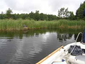 Förord F ör att öka kunskapen om de grunda havsvikarna i länet genomför miljöövervakningsenheten vid Länsstyrelsen i Gävleborg en inventering av grunda vikar i länet.